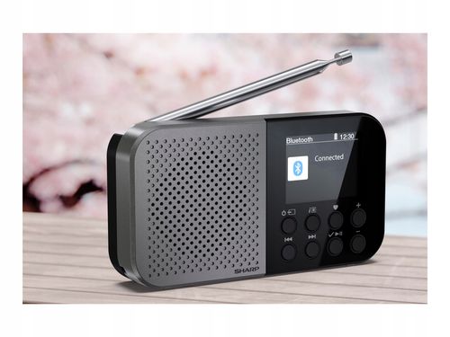 Radio przenośne SHARP Osaka DR-P520 Czarno-szary na Arena.pl