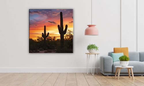 OBRAZ NA PŁÓTNIE 039 Kaktus 70x70cm na Arena.pl