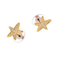 kolczyki gwiazdki z kryształkami (p3237au)
