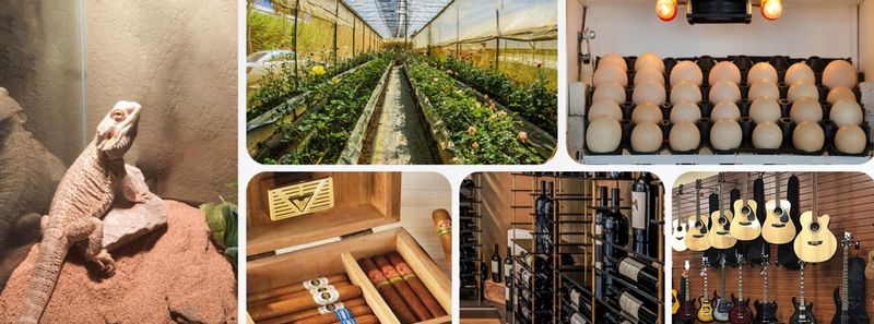 Czujnik Temperatury Wilgotności Wyświetlacz LCD ZigBee SNZB-02D Bateri zdjęcie 9