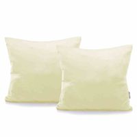 CHP/AMBER/CREAM/40X40*2