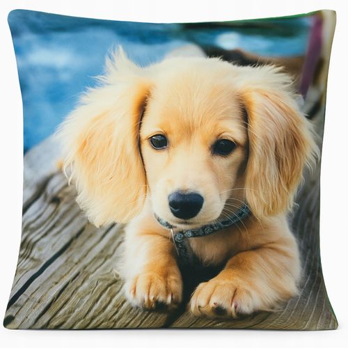 Poszewka Dekoracyjna 45x45 Zwierzęta Koty Psy - Miękka, Welurowa WZORY na Arena.pl