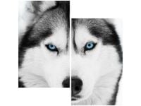 60X60CM HUSKY SYBERYJSKI DWU OBRAZ ŚCIAN