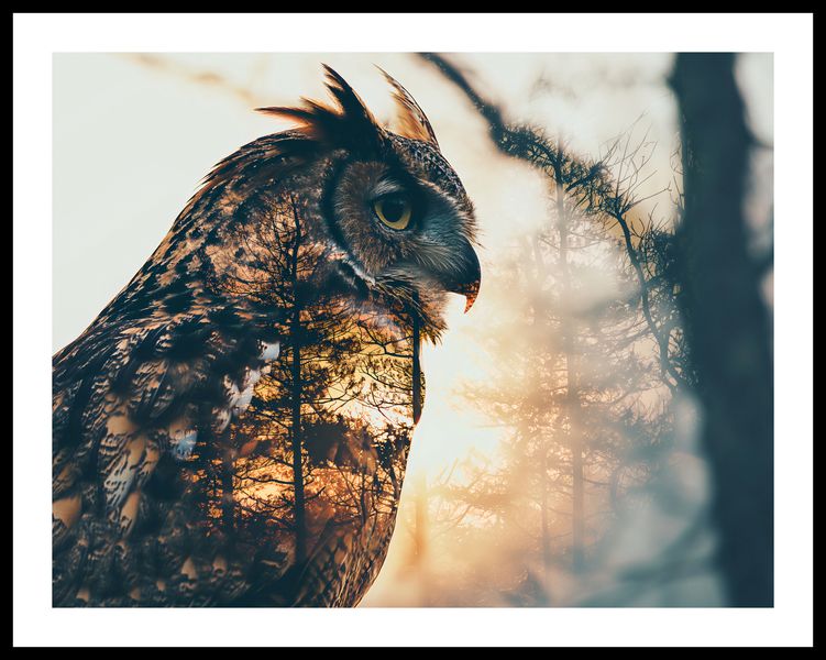 Plakat 65x50cm Sowi Duch zdjęcie 3