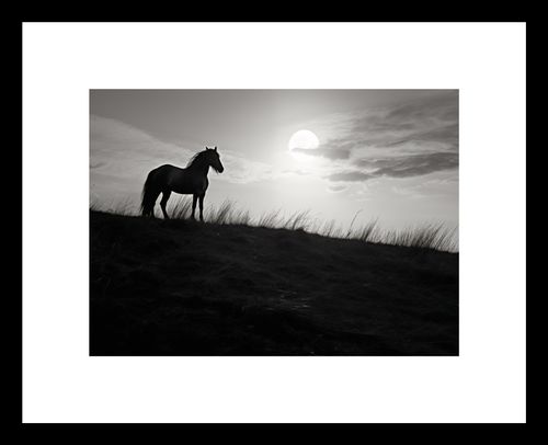 Plakat 18x13cm Księżycowa Straż na Arena.pl