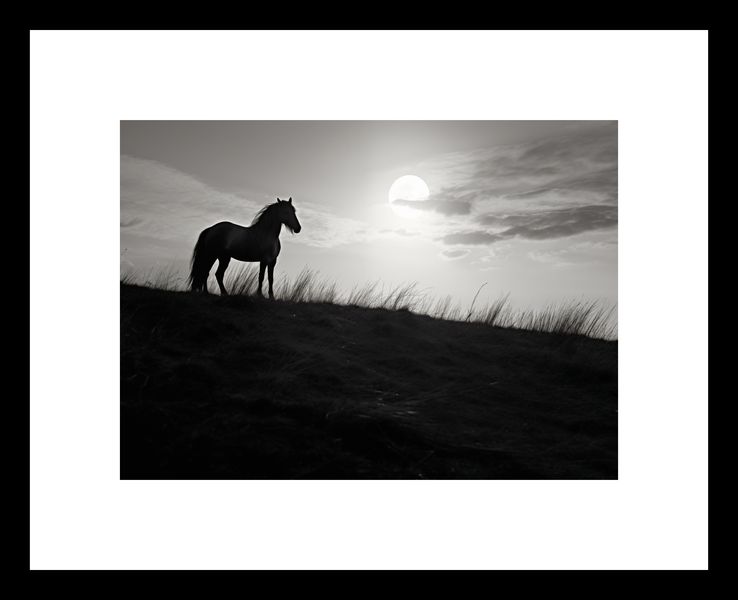 Plakat 18x13cm Księżycowa Straż zdjęcie 3