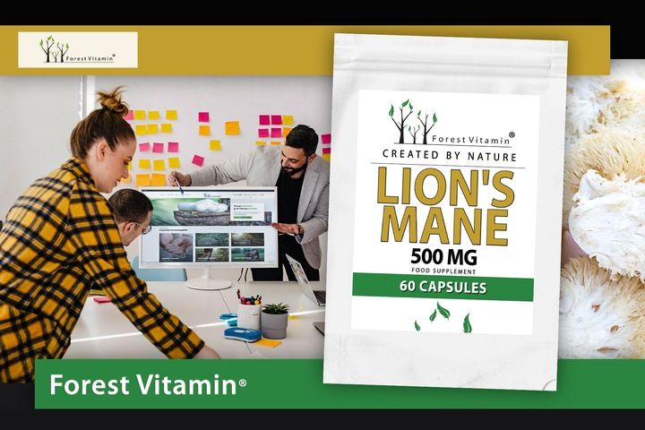 Soplówka Jeżowata 500mg 60kap LION'S MANE PAMIĘĆ MÓZG KONCENTRACJA zdjęcie 11