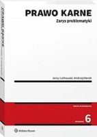 Prawo karne. Zarys problematyki. Wydanie 6 - Jerzy
