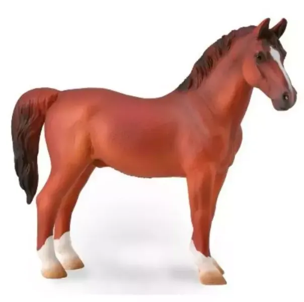 Hackney Stallion Chestnut zdjęcie 1