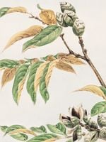 Plakat 60x80cm Shi, Morikaga Japoński Vintage do Salonu