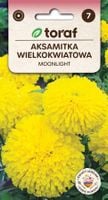Aksamitka Wielkokwiatowa Moonlight, Nasiona Kwiatów Aksamitki, Jadalne Kwia