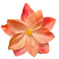 product-compare-61190805