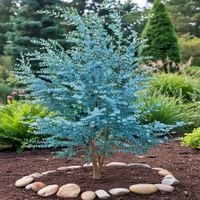 product-compare-61677033