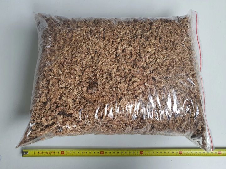 Mech Sphagnum Torfowiec Podłoże do Storczyków 250g zdjęcie 5