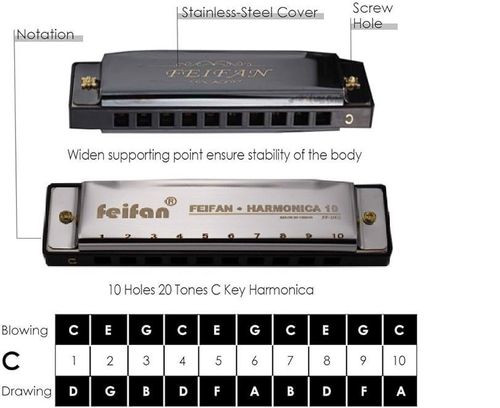 Harmonijka ustna 10-otworowa diatoniczna srebrna na Arena.pl