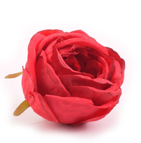 Róża główka czerwona na Arena.pl