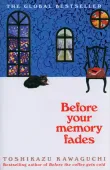 Before Your Memory Fades