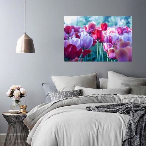 Obraz na płótnie - Canvas, Wśród tulipanów 70x50 na Arena.pl