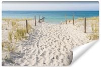 Fototapeta Plaża Wydmy Piasek PEJZAŻ do Salonu 450x300