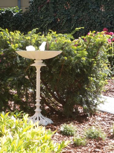 PIĘKNE POIDEŁKO-KARMNIK OGRODOWY na Arena.pl