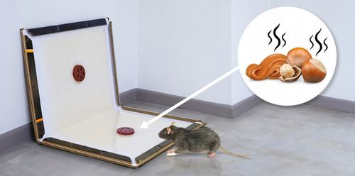 10 X LEP NA MYSZY STRONG ZESTAW SKŁADANYCH PUŁAPEK LEPOWYCH SILNIE WABIĄCE na Arena.pl