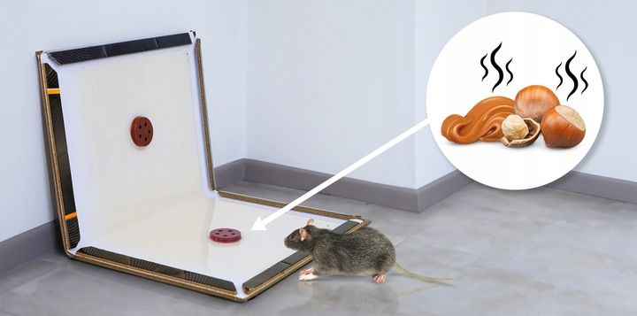 10 X LEP NA MYSZY STRONG ZESTAW SKŁADANYCH PUŁAPEK LEPOWYCH SILNIE WABIĄCE zdjęcie 9