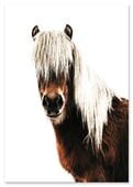 Plakat koń skandynawski 70x100 cm