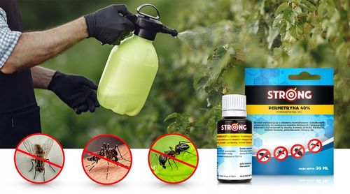 PERMETRYNA 40% OPRYSK ŚRODEK NA KARALUCHY MRÓWKI PLEŚNIAKOWCE FORTECA na Arena.pl