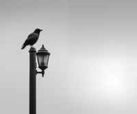 product-compare-59371666