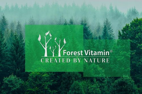 FOREST WITAMINA K2 MK-7 500mcg 100 tab NATURALNA na Arena.pl