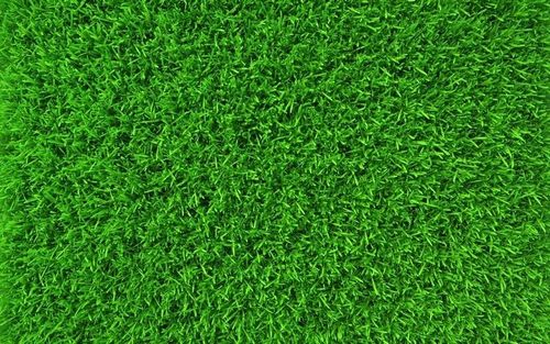 Nawóz HYDROCOMPLEX Yara Mila Complex 25KG na Arena.pl