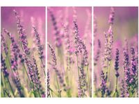 60 90CM OBRAZ 3 ELEM LAWENDA DRUK PŁÓTNO RAMA