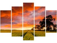 100CM 150CM OBRAZ 5 ELEM FAR FAR AWAY JONATHAN COMBE ŚCIENNY