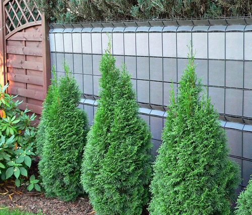 Taśma ogrodzeniowa 19,3cm x 48m jasno szara na Arena.pl