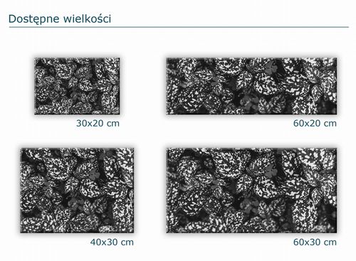 SZKLANA DESKA KUCHENNA 60x20 29c Mono liście na Arena.pl
