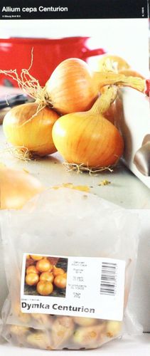 Cebula dymka Allium cepa Centurion - 8/14 250g na Arena.pl