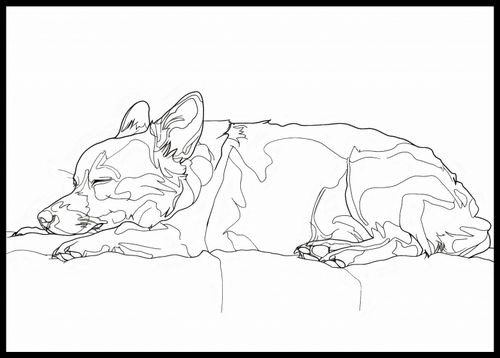 Plakat 84x59,5cm Śpiący Psiak na Arena.pl