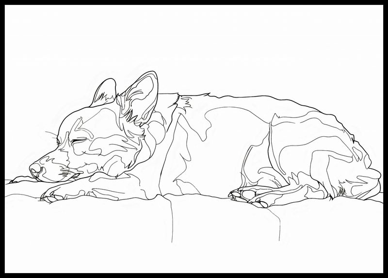 Plakat 84x59,5cm Śpiący Psiak zdjęcie 2