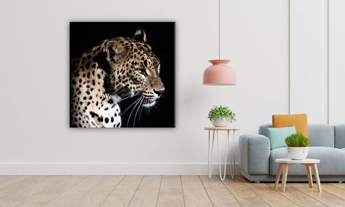 OBRAZ NA PŁÓTNIE 051 Lampart 70x70cm na Arena.pl