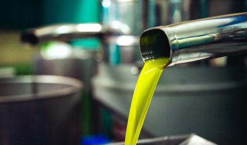 Włoska oliwa extra vergine z Sycylii 3L|Olio Mio ŚWIEŻY ZBIÓR 10-11.2024 na Arena.pl