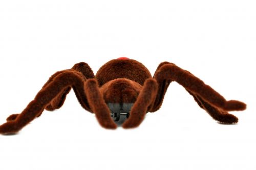 Pająk TARANTULA Zdalnie Sterowany + PILOT #E1 na Arena.pl