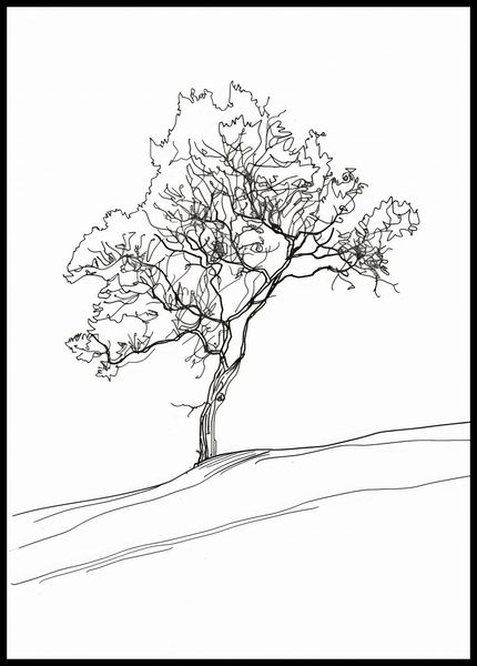 Plakat 67,5x95cm Drzewo w Zarysie zdjęcie 2