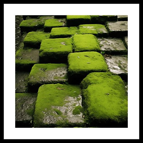 Plakat 30x30cm Zielona Mozaika na Arena.pl