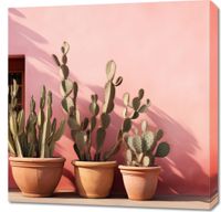 Obraz 70x70cm Kaktusy w Świetle
