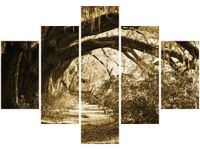 OBRAZ DROGA DRZEWAMI VINTAGE