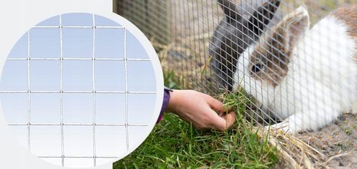 SIATKA PRZECIW GRYZONIOM SZKODNIKOM 1m 100cm OCYNKOWANA 13x13 FI 0,8mm 25mb na Arena.pl