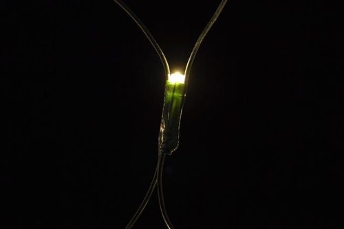 Lampki ogrodowe 160 LED, ciepłe białe, sieć na Arena.pl