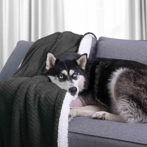 BLA/AH/SHLEEPY/CHARCOAL/170X210 na Arena.pl