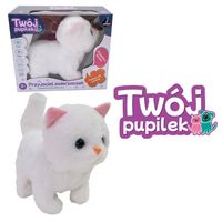 ND17_ZB-163231 Kotek na baterie