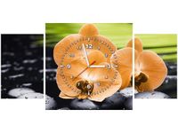 product-compare-58617317